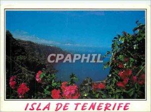 Modern Postcard Isla de Tenerife