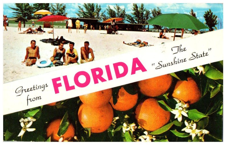 Greetings from Florida the Sunshine State Florida Postcard Posted 1959