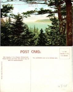 Halifax NS Canada The Main Drive Pleasant Park Postcard Unused (43188)