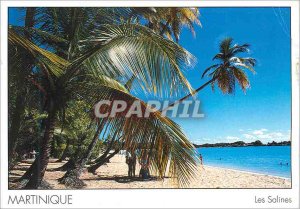 Modern Postcard Martinique Les Salines