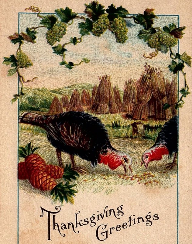 c1915 THANKSGIVING GREETINGS TURKEYS PINEAPPLE WHEAT GRAPES POSTCARD 34-77