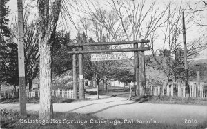 Calistoga Hot Springs California  C-1910 #2016 Postcard Pacific Novelty 9414