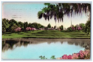 1939 Terraces Facing Riverfront Middleton Place Garden Charleston SC Postcard 