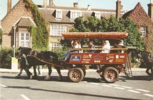 Horses opulling toutistic cart Nice Modern English PC. Continenal size