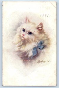 Kenyon Artist Signed Postcard Cute Cat Miss Prim Minneapolis Minnesota MN 1908