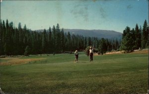 Vintage PC Yosemite Nat'l Park California CA WAWONA GOLF COURSE