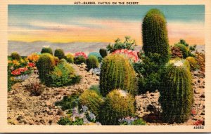 Cactus Barrel Cactus On The Desert