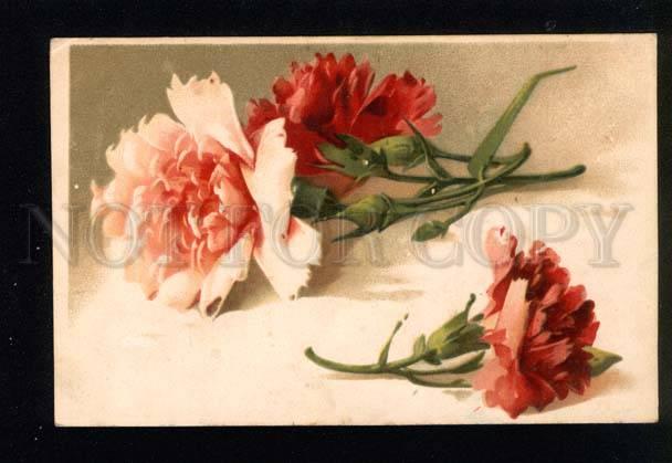 044154 Carnations on Table. By C. KLEIN vintage PC