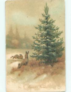 foreign Old Postcard EASTER BUNNY RABBITS BY CHRISTMAS TREE AC2892