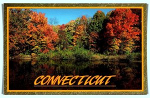Connecticut - Golden Fall Foliage - [CT-247]