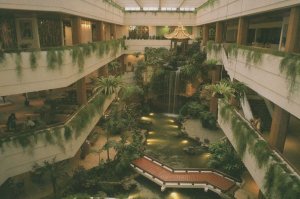 White Swan Hotel Atrium Lobby GuangZhou China Postcard