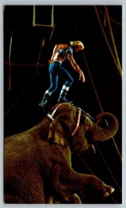 Ringling Brothers & Barnum & Bailey Circus  Postcard