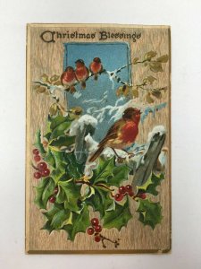 Raphael Tuck Christmas Postcard Birds HollyEmbossed  Xmas c. 1909