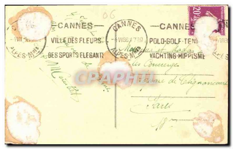 Postcard Old Nice Les Palmiers the Public Garden