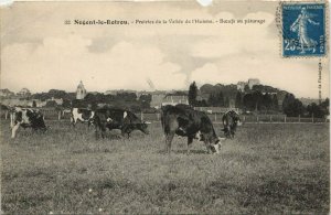 CPA NOGENT-le-ROTROU-Prairies de la Vallée de l'Huisne (28637)