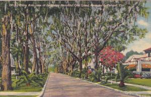 Clara Avenue Deland Florida 1943 Curteich