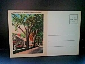 Postcard  Famous Elms on Kings Highway in Yarmouth, MA