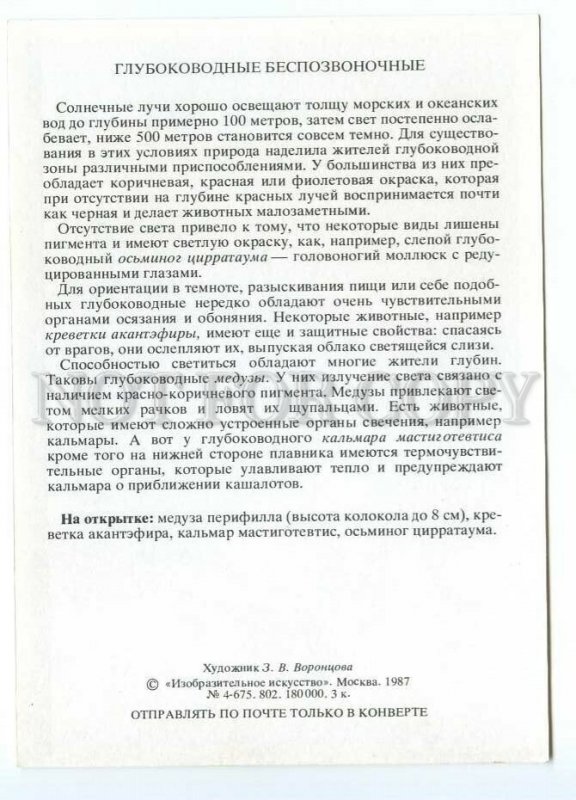 152661 Jellyfish shrimp squid octopus old Color PC