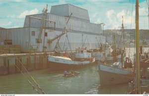 Riviere Au Renard , Quebec , Canada , 50-60s ; Draggers unloading Fish