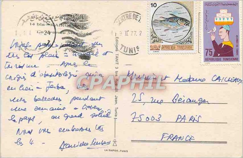Postcard Modern Kairouan