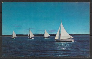 Alabama, Mobile - Sail Boats On Mobile Bay - [AL-019]