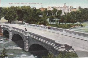 New York Niagara Falls Goat Island Bridge