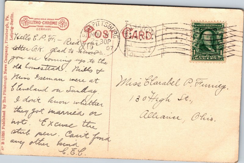 Park in Allegheny Carnegie Library in Background