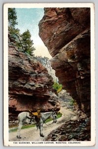 Manitou Colorado Donkey In The Narrows Williams Canyon Postcard R28