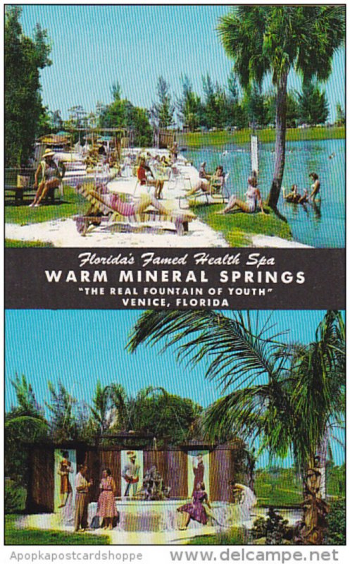 Florida Venice Warm Mineral Springs