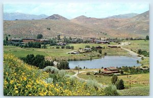 SUN VALLEY, ID Idaho~ Blaine County~ Birdseye View & WILDFLOWERS c1950s Postcard