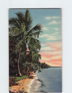 Postcard On The Florida Coast, Florida
