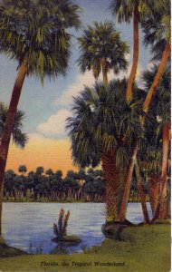 [ Linen ] US Florida - The Tropical Wonderland