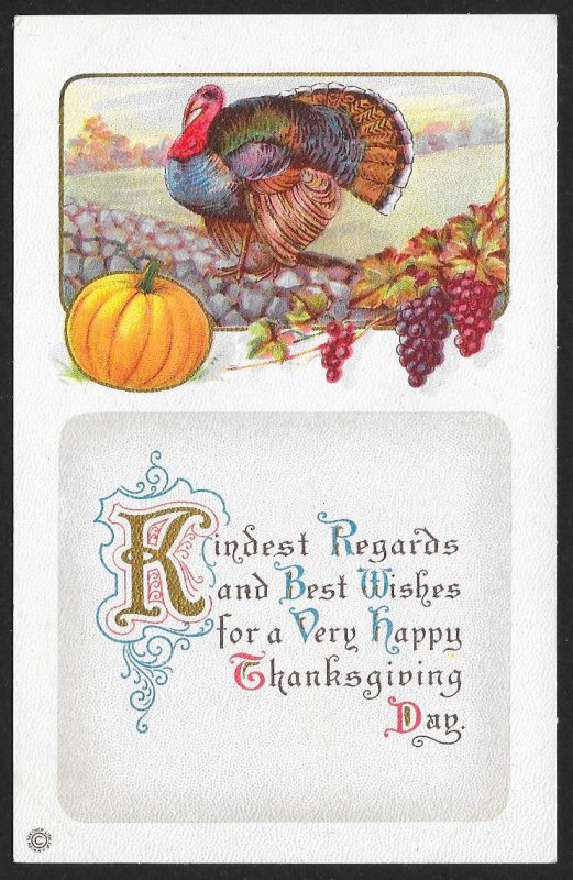 Thanksgiving Kindest Regard & Best Wishes.. Turkey & Whole Pumpkin Unused c1910s