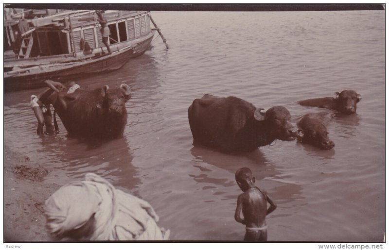 RP: Ganges River View , India , 00-10s #5