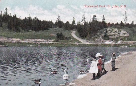 Canada St John Rockwood Park Scene