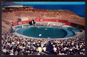 The Sea Arena,Marineland of the Pacific,CA BIN