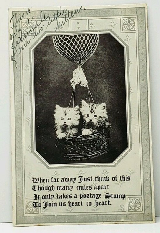 Kittens in Helium Balloon 1913 Oshkosh to Berlin Wisconsin Postcard B6