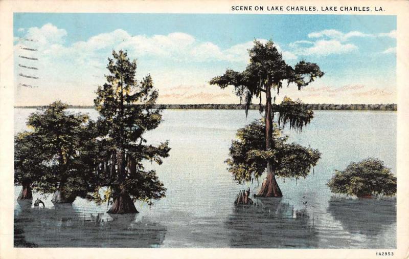 Lake Charles Louisiana Waterfront Water Tree Antique Postcard K38582