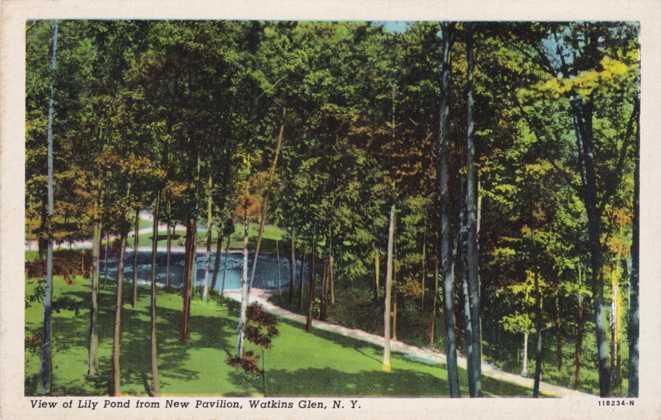 Lily Pond from New Pavilion - Watkins Glen NY, New York - Linen