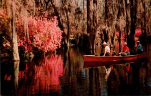 South Carolina Charleston Cypress Gardens