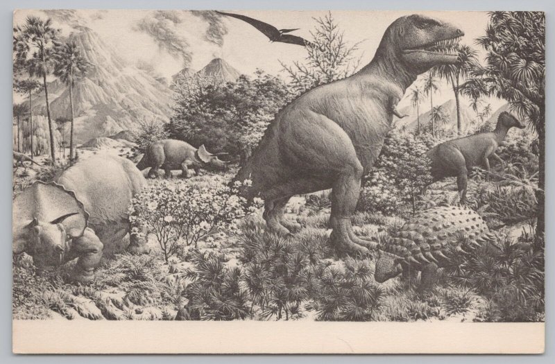 Dinosaur Heyday~Cretaceous Scene & Great Mural~Hall Of Reptiles~Vintage Postcard