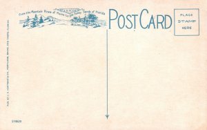 Vintage Postcard 1920's Crawford Notch Mt. Willard White Mountains New Hampshire