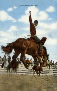 Bronco Busting Cowboy Horse Postcard