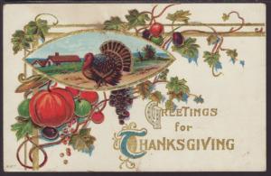 Greetings For Thanksgiving,Turkey,Pumpkins Postcard