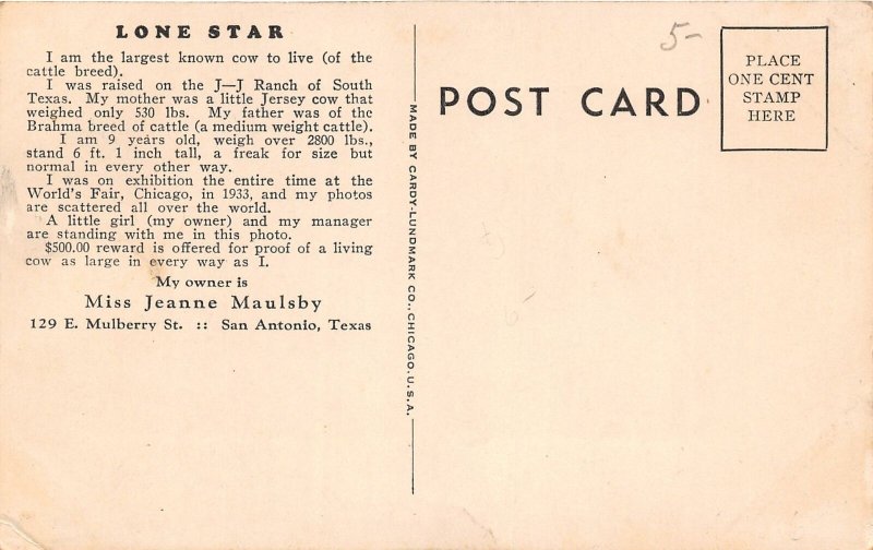 G83/ San Antonio Texas Postcard c1940s Lone Star Largest Known Cow