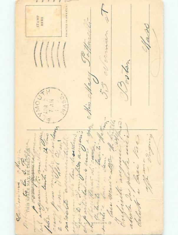 Divided-Back EASTER BUNNY RABBIT SCENE Cute Postcard AA1224