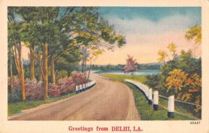 Delhi Louisiana Greetings Scenic View Road Postcard JF685718