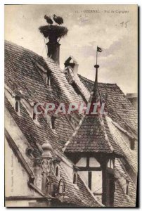 Old Postcard Obernai nest Storks