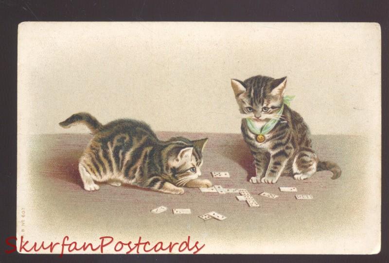 PRETTY CUTE CAT CATS KITTEN KITTENS KITTY VINTAGE POSTCARD 