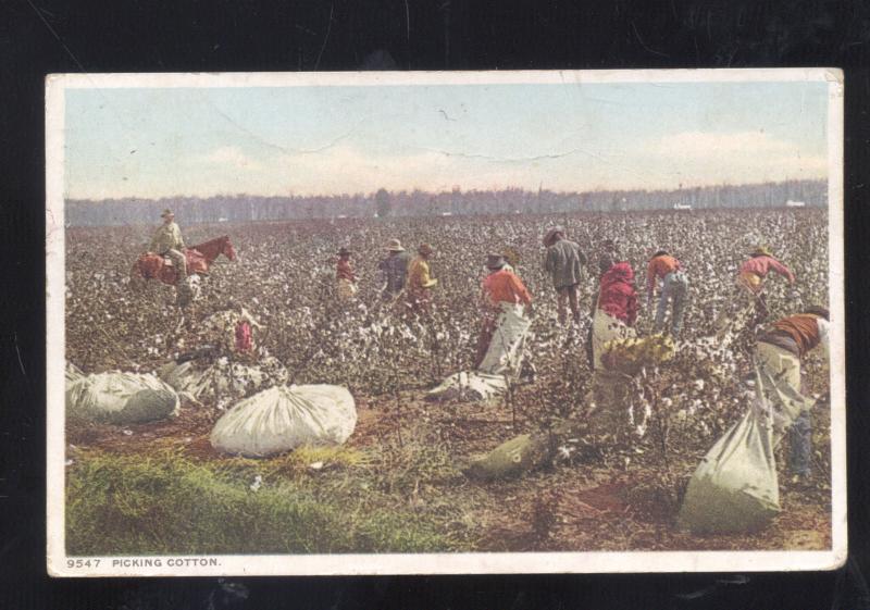 HOUSTON TEXAS COTTON PICKING FARMING FARM FIELD VINTAGE POSTCARD GALVA KS.